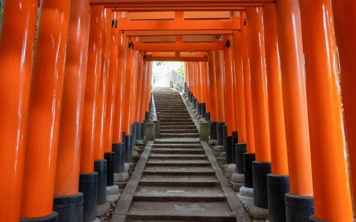 The dense double row of vermilion torii gates at Senbon Torii