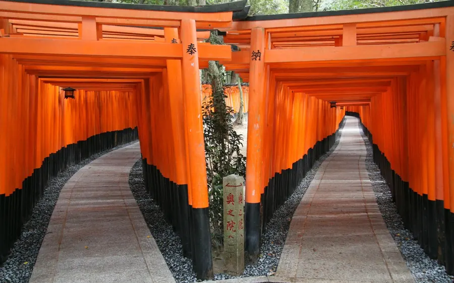 The dense vermilion torii tunnel on the lower slope of Mount Inari