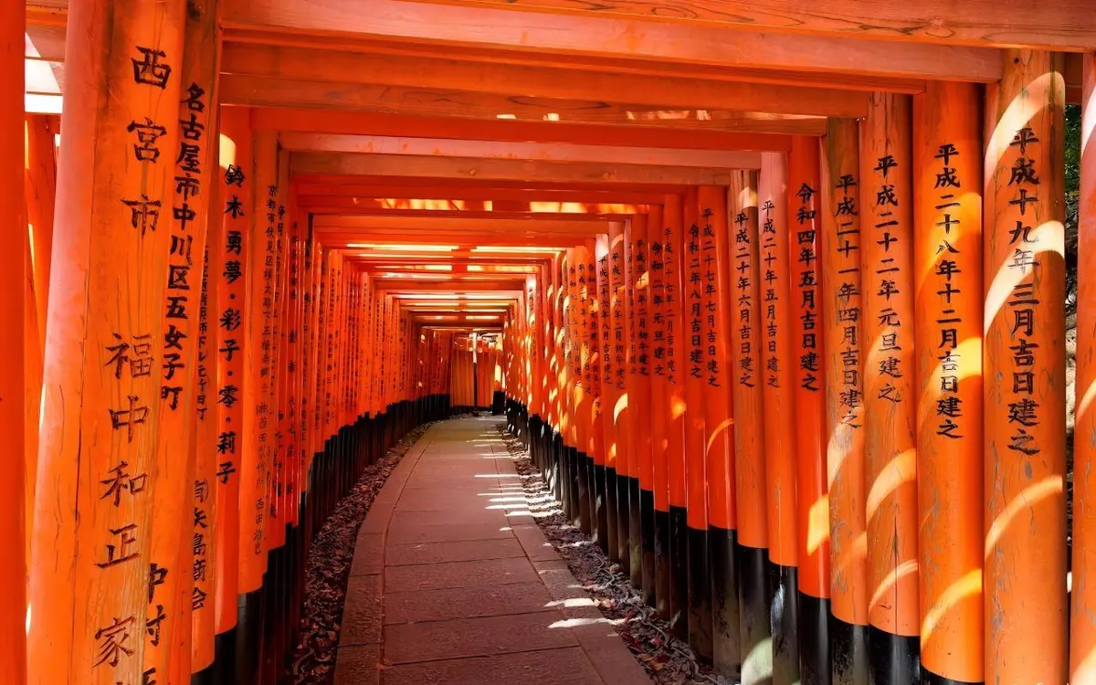 Stone steps climbing under torii gates on Mount Inari at dawn